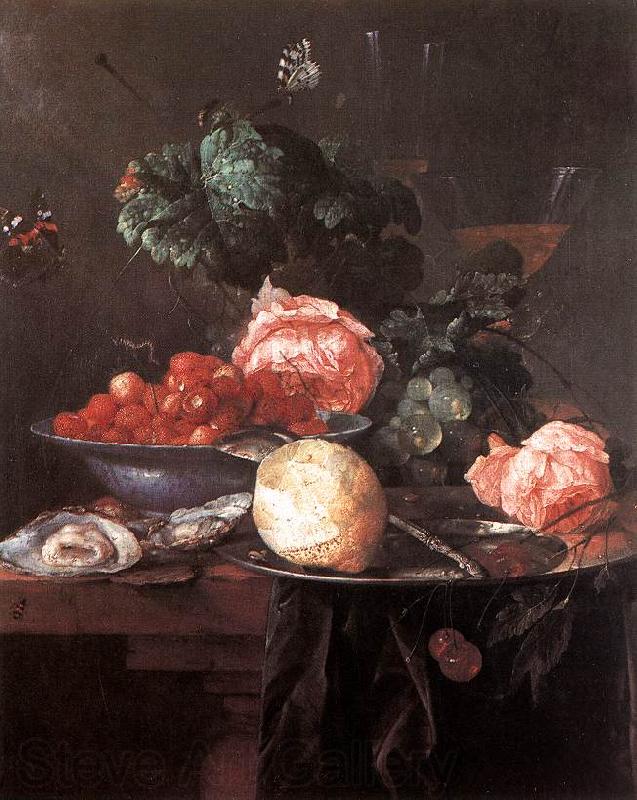 HEEM, Jan Davidsz. de Still-life with Fruits  sg France oil painting art